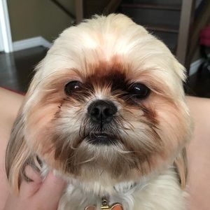 Meet your Posher, Gabrielle